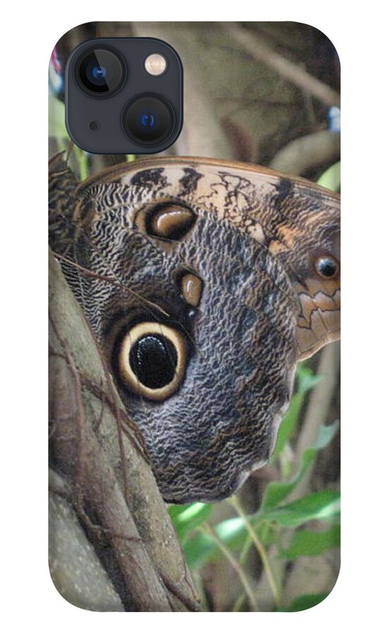 Owl Butterfly In Hiding. Hevi Fineart iPhone 13 Case featuring the photograph Owl Butterfly in Hiding by HEVi FineArt