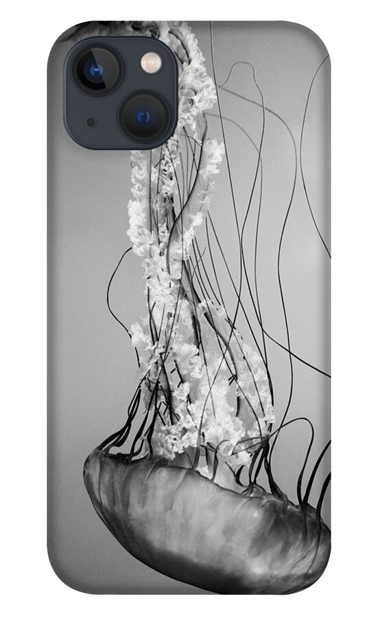 Pacific Sea Nettle iPhone 13 Case featuring the photograph Pacific Sea Nettle - Black and White by Marianna Mills