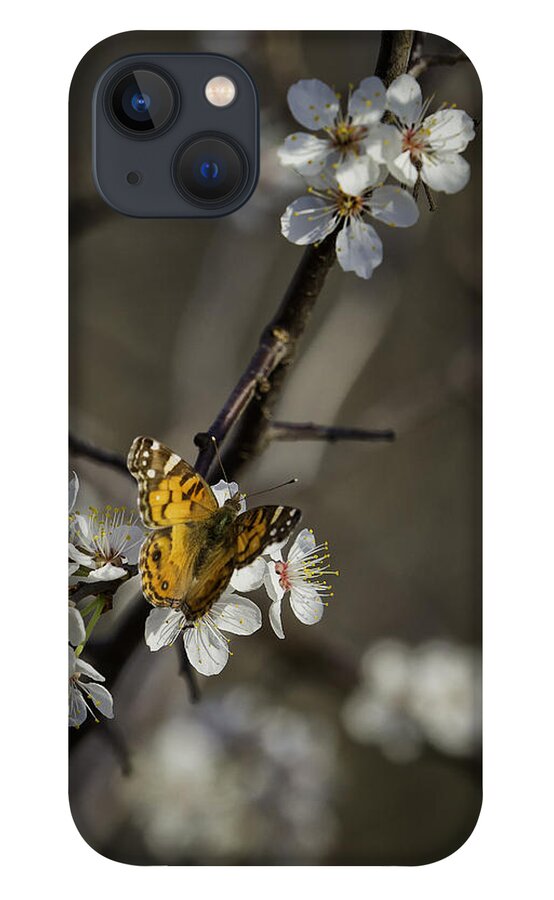Painted Lady iPhone 13 Case featuring the photograph Painted Lady on Wild Plum by Michael Dougherty