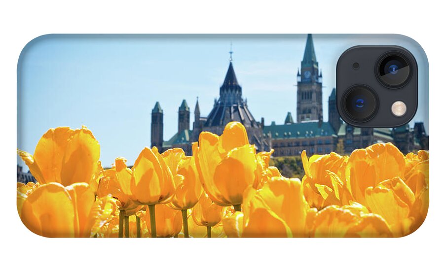 Outdoors iPhone 13 Case featuring the photograph Parliament Buildings Through Tulips by Danielle Donders