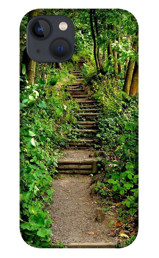 Path iPhone 13 Case featuring the photograph Path Into The Forest by Scott Lyons
