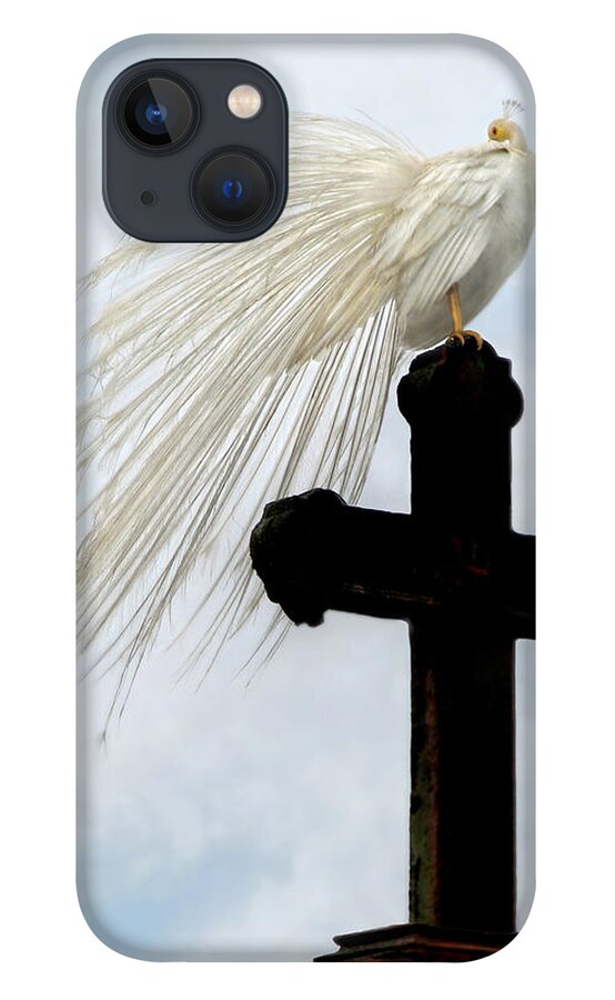 Peacock iPhone 13 Case featuring the photograph Peacock in Isola Madre by Jennie Breeze