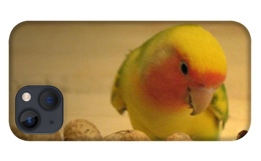 Lovebird iPhone 13 Case featuring the photograph Peanut by Andrea Lazar