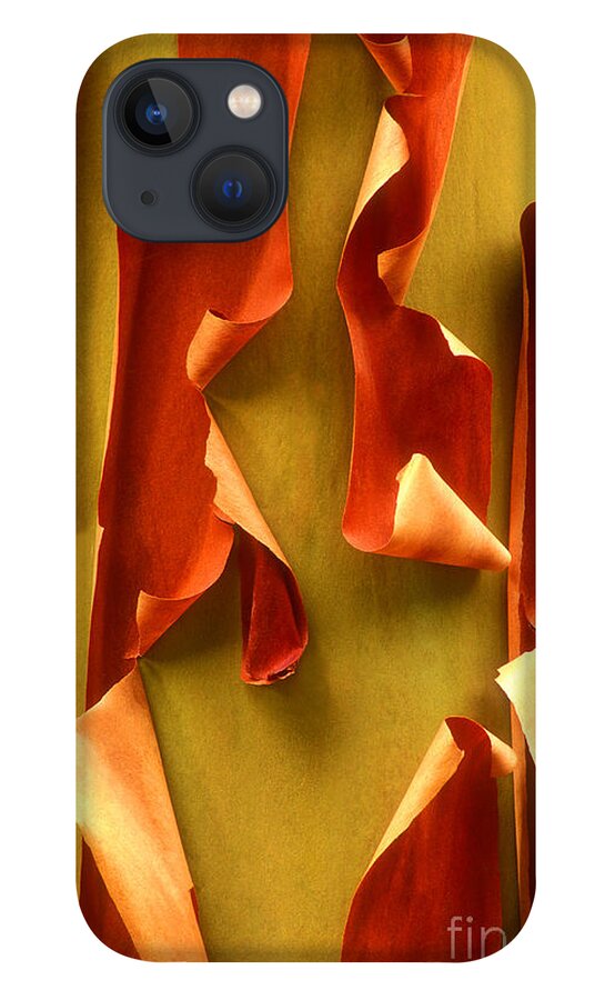 Pacific Madrone iPhone 13 Case featuring the photograph Peeling Bark Pacific Madrone Tree Washington by Dave Welling