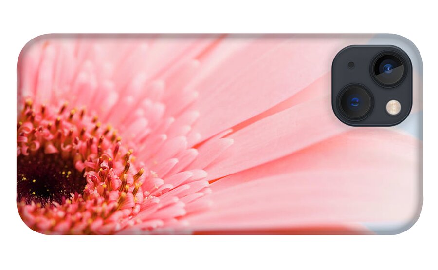 Petal iPhone 13 Case featuring the photograph Petals And Head Of Pink Daisy by Vstock