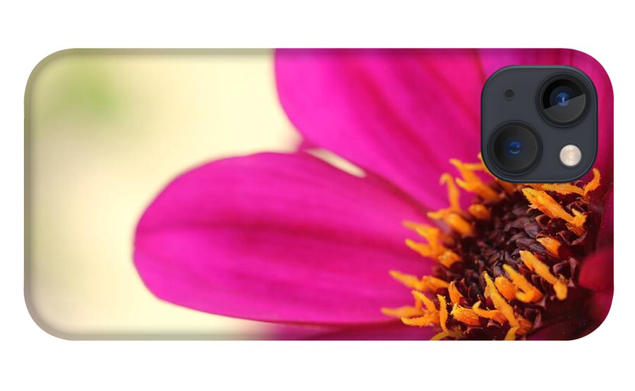 Beautiful iPhone 13 Case featuring the photograph Pink Flower by Amanda Mohler
