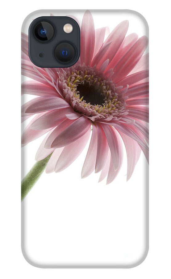 Pink Posey iPhone 13 Case featuring the photograph Pink Posey by Patty Colabuono