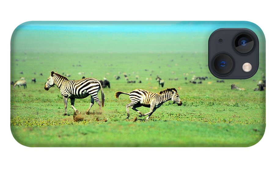 Africa iPhone 13 Case featuring the photograph Playfull Zebras by Sebastian Musial