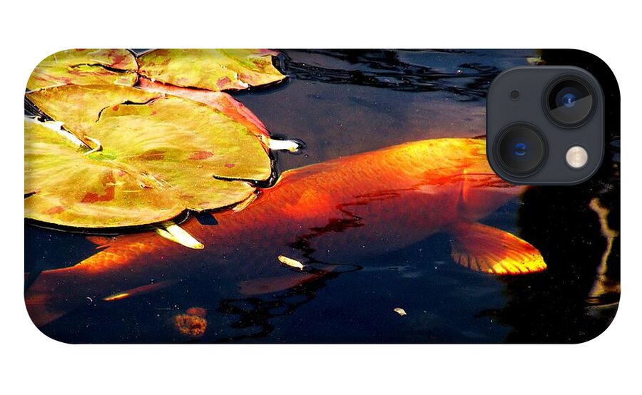 Koi Fish iPhone 13 Case featuring the photograph Playing Koi by Kim Bemis