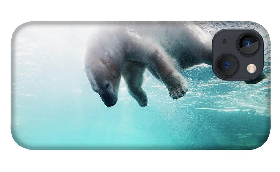 Diving Into Water iPhone 13 Case featuring the photograph Polarbear In Water by Henrik Sorensen