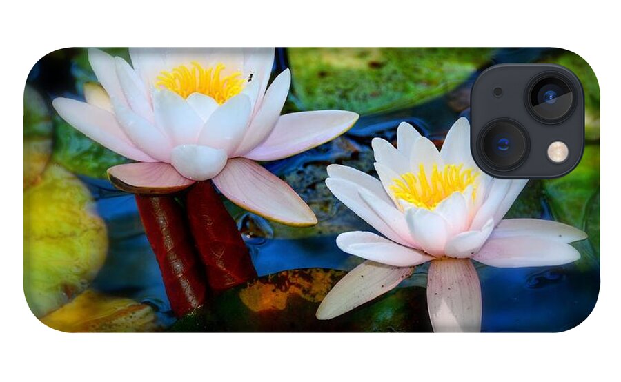 Pond Lily iPhone 13 Case featuring the photograph Pond Lily by Patrick Witz