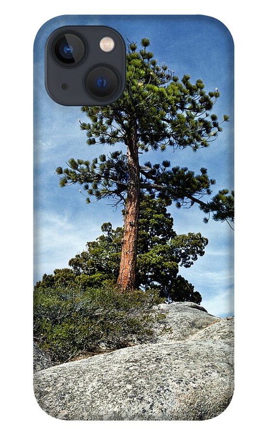 Beauty In Nature iPhone 13 Case featuring the photograph Ponderosa Pine and Granite Boulders by Jeff Goulden