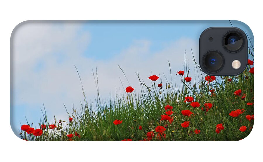 Ankya Klay iPhone 13 Case featuring the photograph Poppies in a French Landscape by Ankya Klay