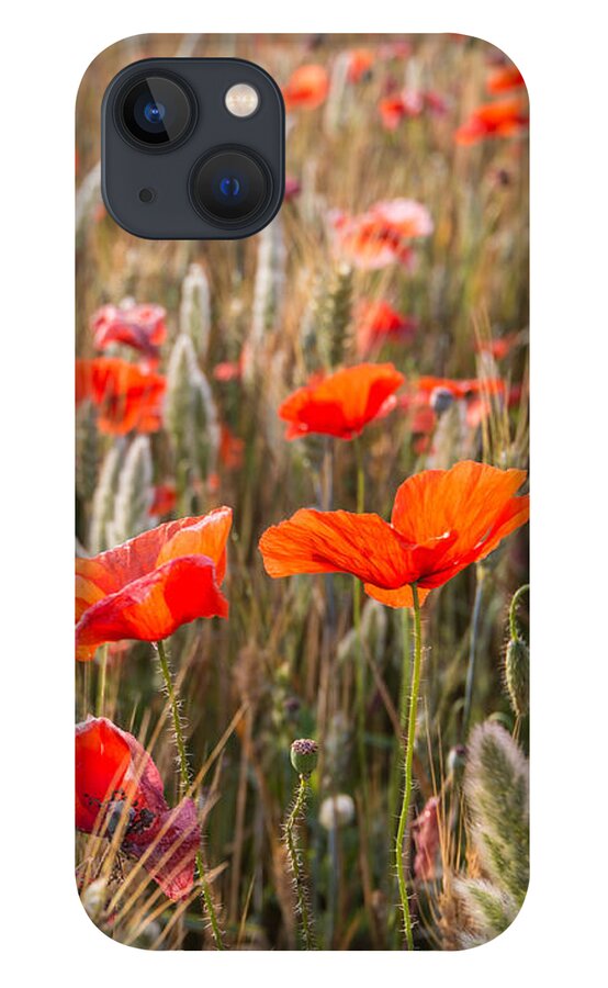 Agriculture iPhone 13 Case featuring the photograph Poppies In The Morning Sun by Hannes Cmarits