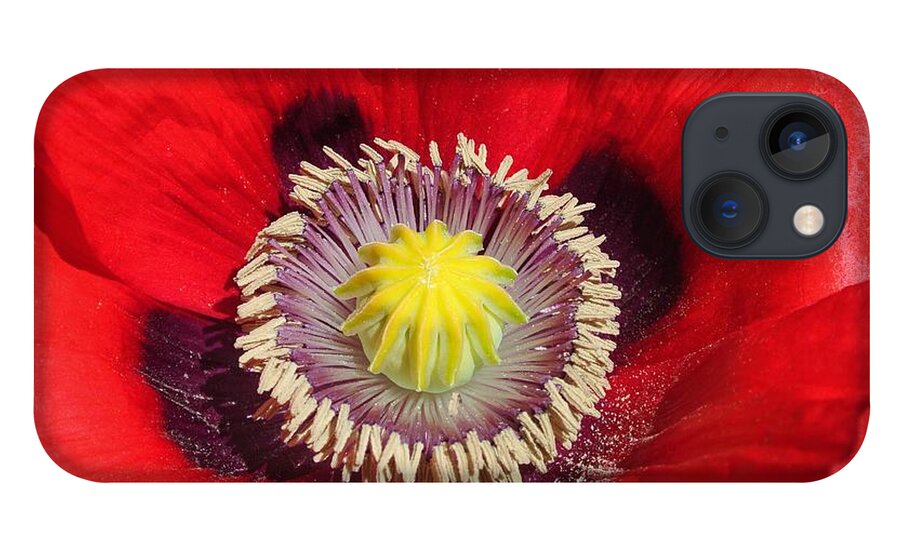  iPhone 13 Case featuring the photograph Poppy by Sharron Cuthbertson