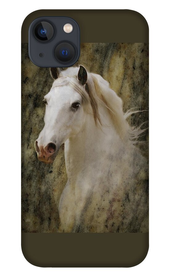 Andalusian Horses iPhone 13 Case featuring the photograph Portrait of a Horse God by Melinda Hughes-Berland