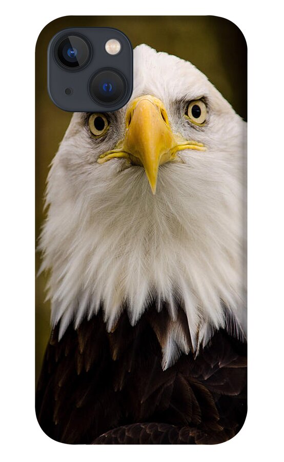 Eagle iPhone 13 Case featuring the photograph Portrait Of An Eagle by Jordan Blackstone