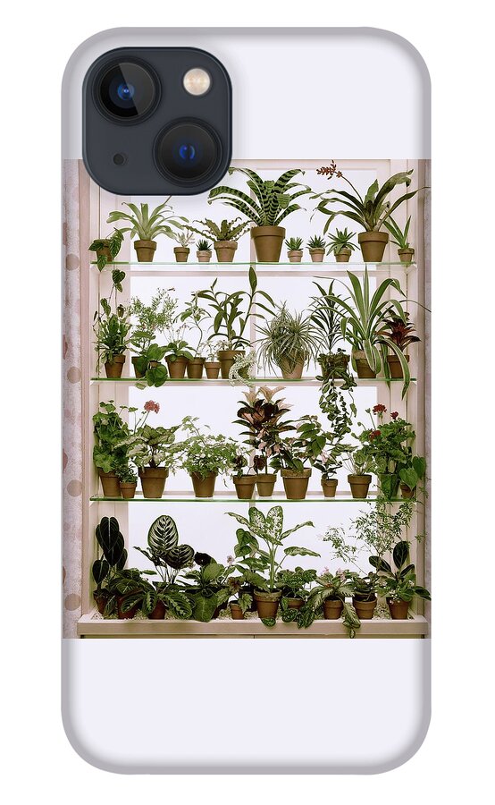 Potted Plants On Shelves iPhone 13 Case