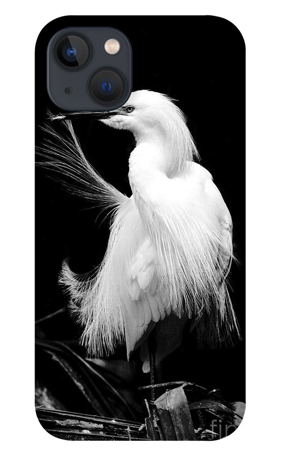 Snowy Egret iPhone 13 Case featuring the photograph Preening Egret by Jayne Carney
