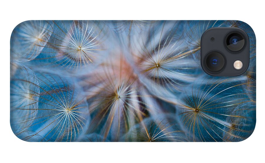 Puff-ball iPhone 13 Case featuring the photograph Puff-ball in blue by Jaroslaw Blaminsky