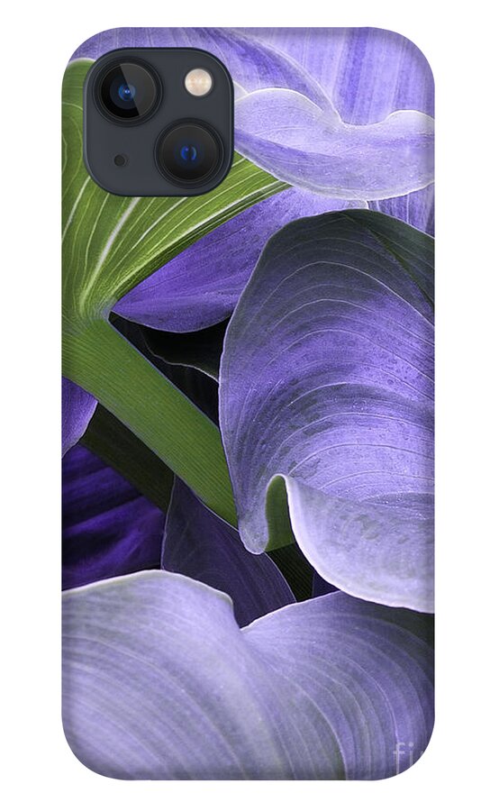 Calla Lily iPhone 13 Case featuring the photograph Purple Calla Lily Bush by Richard J Thompson