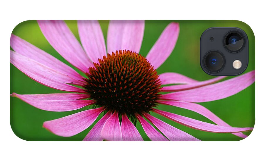 Wildflower iPhone 13 Case featuring the photograph Purple Cone Flower by Bill Morgenstern