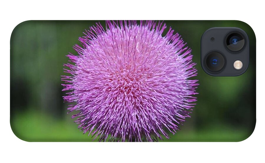 Photograph iPhone 13 Case featuring the photograph Purple Fuzz by Richard Gehlbach