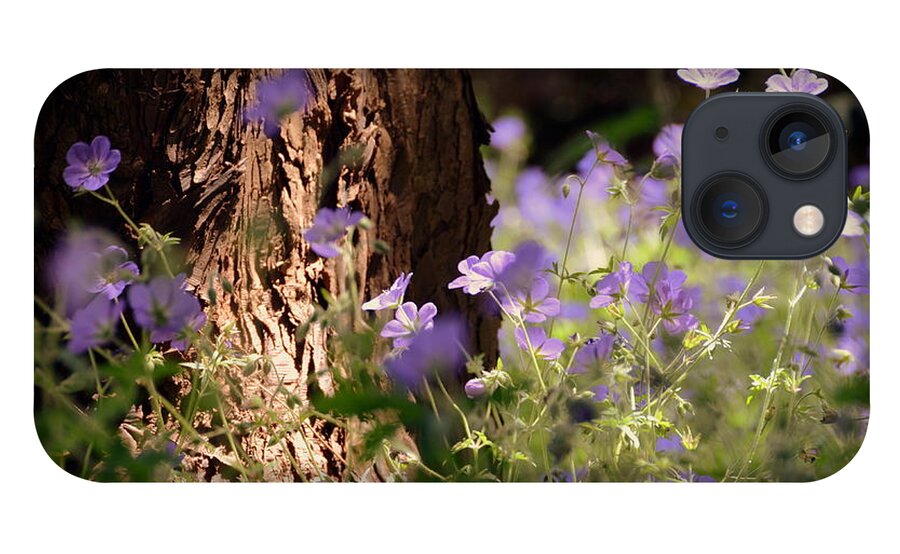 Flowers iPhone 13 Case featuring the photograph Purple Splash by Andrea Platt