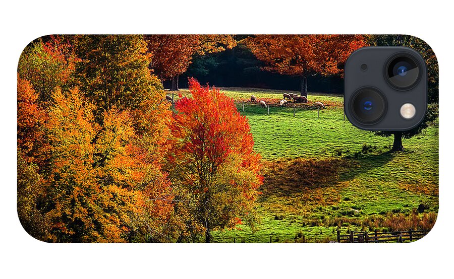 Fall iPhone 13 Case featuring the photograph Ramblin' Fall by Robert Clifford