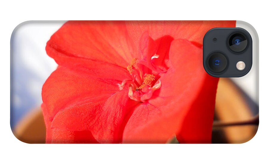 Red Flower iPhone 13 Case featuring the photograph Red Geranium by Ramona Matei