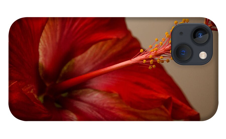 Fjm Multimedia iPhone 13 Case featuring the photograph Red Hibiscus 5 by Frank Mari