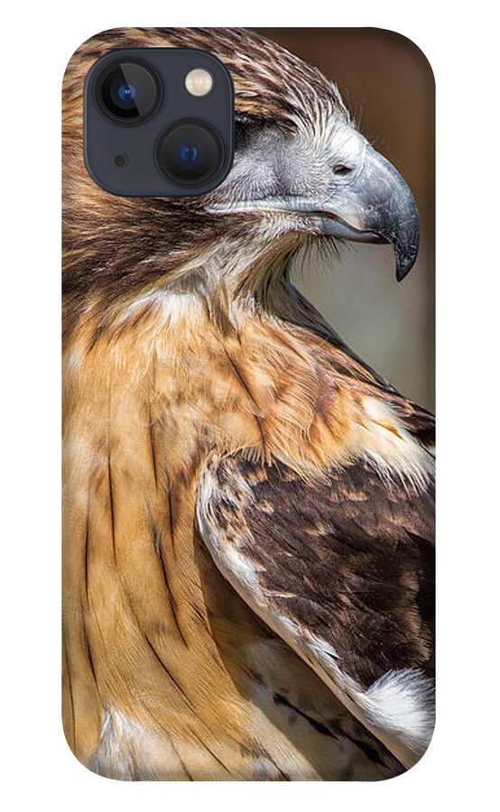 Red Tailed Hawk iPhone 13 Case featuring the photograph Red Tail Hawk by Dale Kincaid