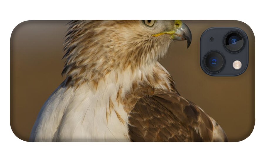 Beak iPhone 13 Case featuring the photograph Red-tailed Hawk portrait by Larry Bohlin