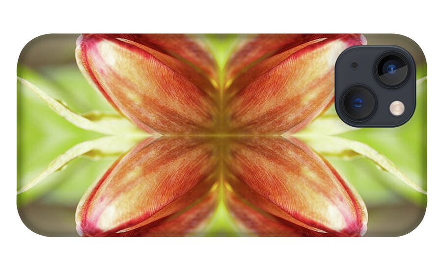 Tranquility iPhone 13 Case featuring the photograph Red Tulips by Silvia Otte