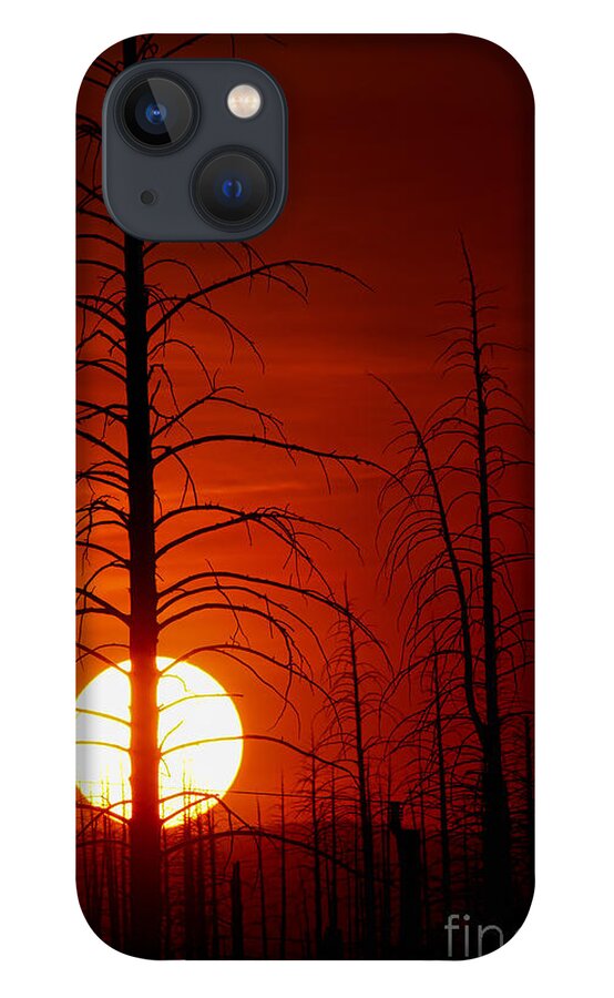Buffalo Creek Fire Photograph; Buffalo Creek Fire Canvas Print; Red Sun Photograph iPhone 13 Case featuring the photograph Reds by Jim Garrison