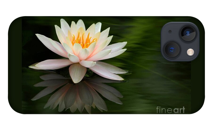 White iPhone 13 Case featuring the photograph Reflections of a Water Lily by Sabrina L Ryan