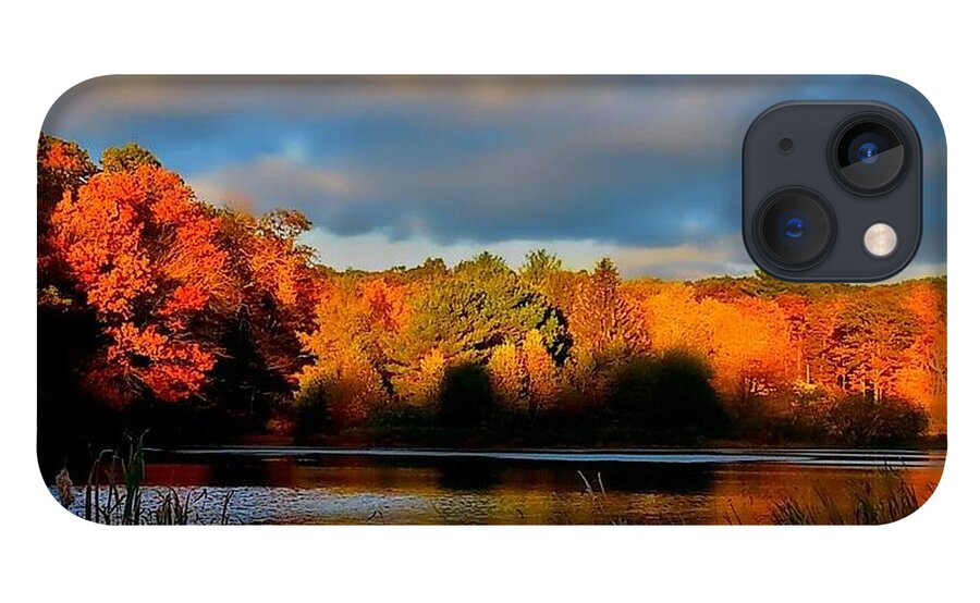 Autumn iPhone 13 Case featuring the photograph Resonate by Dani McEvoy