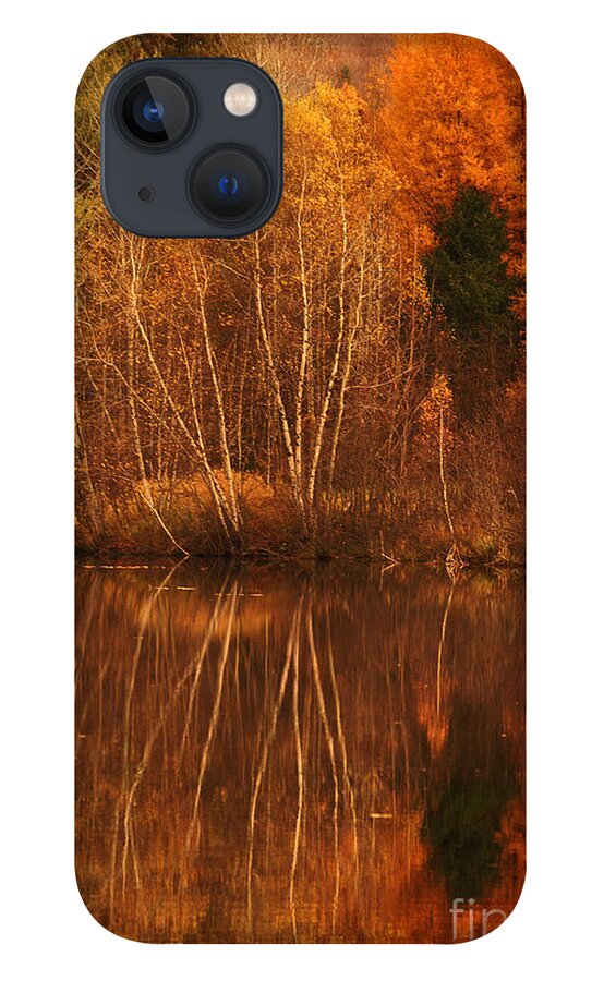 Autumn iPhone 13 Case featuring the photograph Restes d'Automne by Aimelle Ml