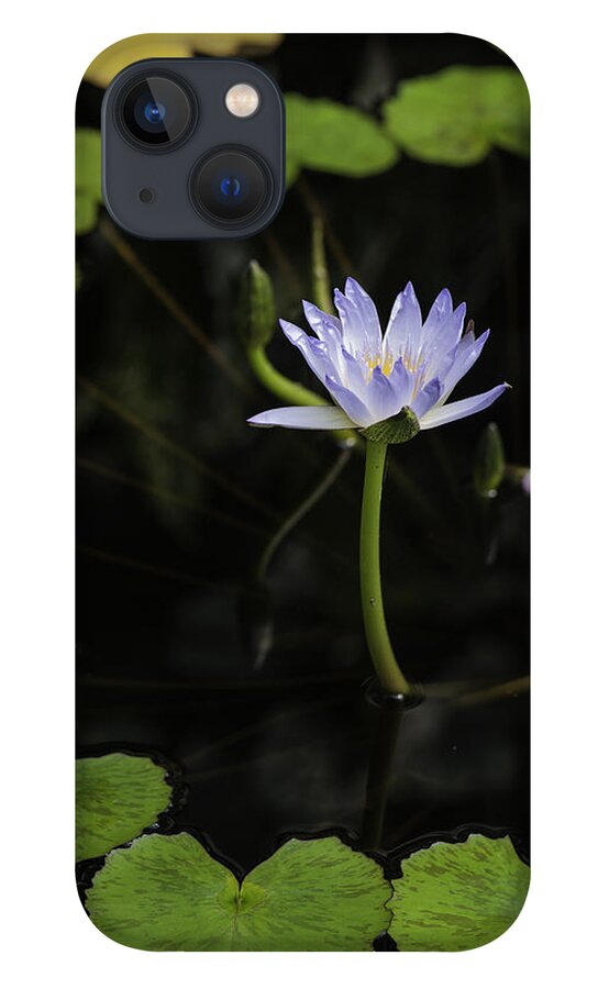 Close-ups iPhone 13 Case featuring the photograph Ring Around the Lilly by Donald Brown