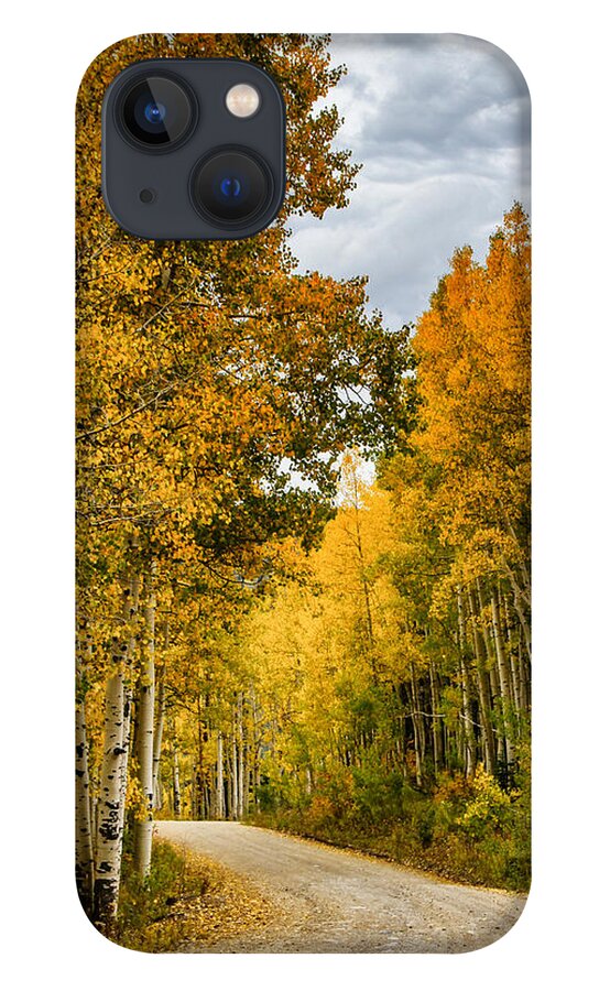 Fall Color iPhone 13 Case featuring the photograph Road Through the Gold by Juli Ellen