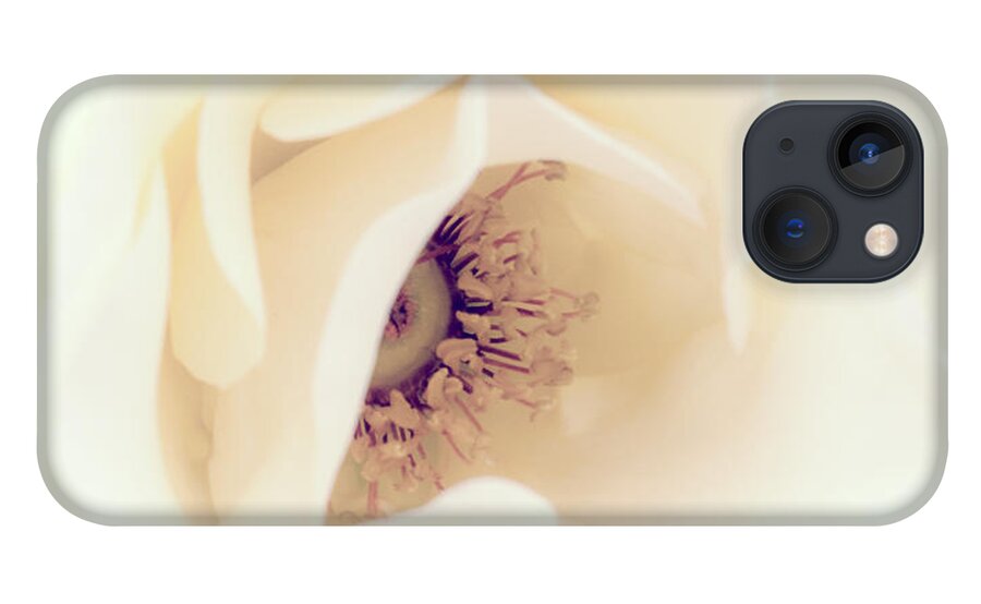 Love iPhone 13 Case featuring the photograph Romance in a Rose by Spikey Mouse Photography