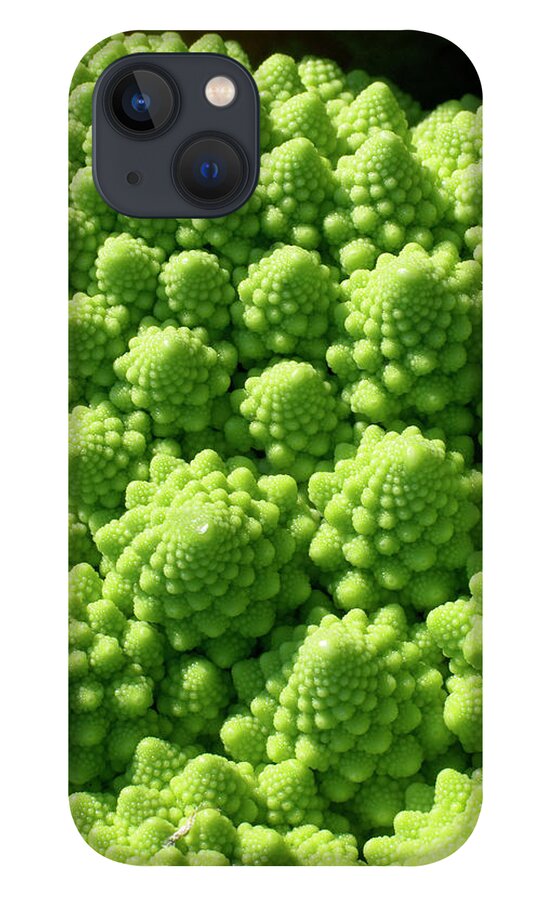 Brassica Sp. iPhone 13 Case featuring the photograph Romanesco Broccoli by Steve Allen/science Photo Library