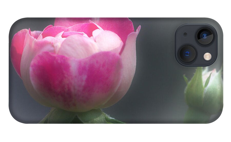 Rose iPhone 13 Case featuring the photograph Rose and Bud by Jeremy Hayden