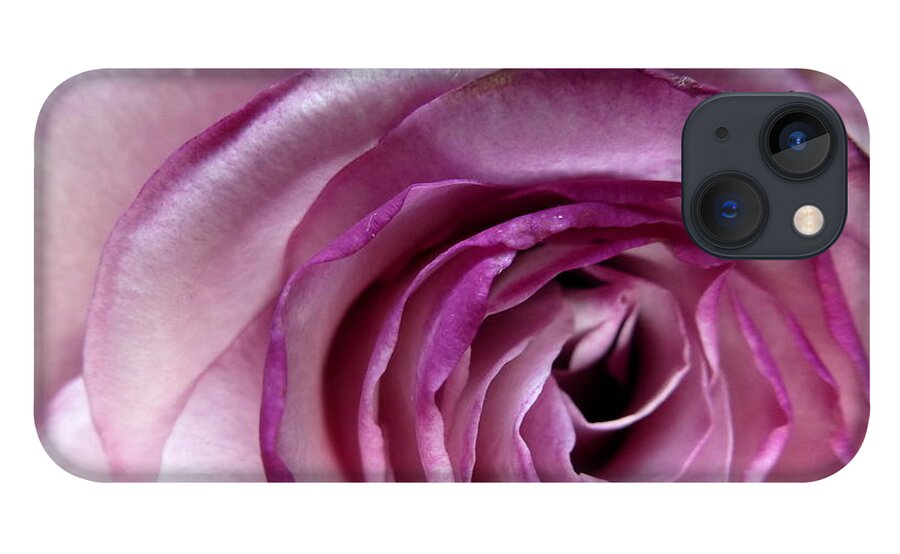  iPhone 13 Case featuring the photograph Rose Neptune by Mars Besso