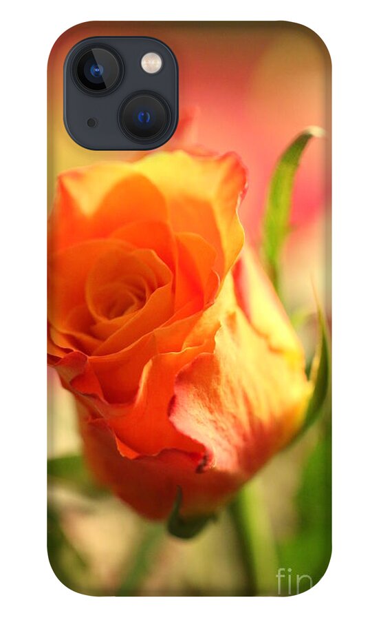 Background iPhone 13 Case featuring the photograph Rose on pink background II by Amanda Mohler