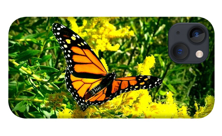 Butterfly iPhone 13 Case featuring the photograph Royalty II by Al Harden