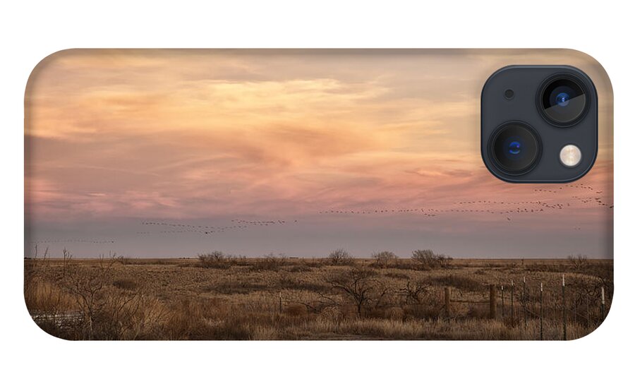 Animals iPhone 13 Case featuring the photograph Sandhill Cranes at Sunset by Melany Sarafis