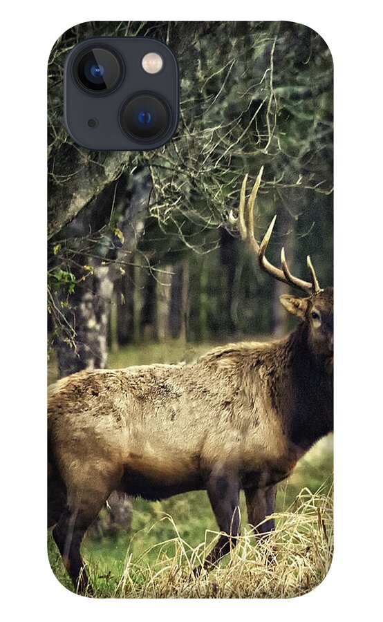 Bull Elk iPhone 13 Case featuring the photograph Satellite Bull by Roadside by Michael Dougherty