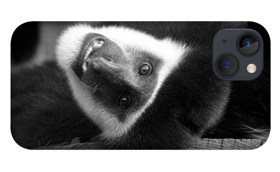 Colobus iPhone 13 Case featuring the photograph Say Cheese by Jayne Carney