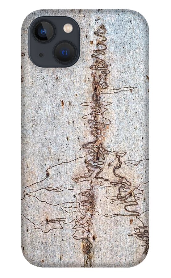 Trees iPhone 13 Case featuring the photograph Scribbly Gum Art Portrait A by Peter Kneen